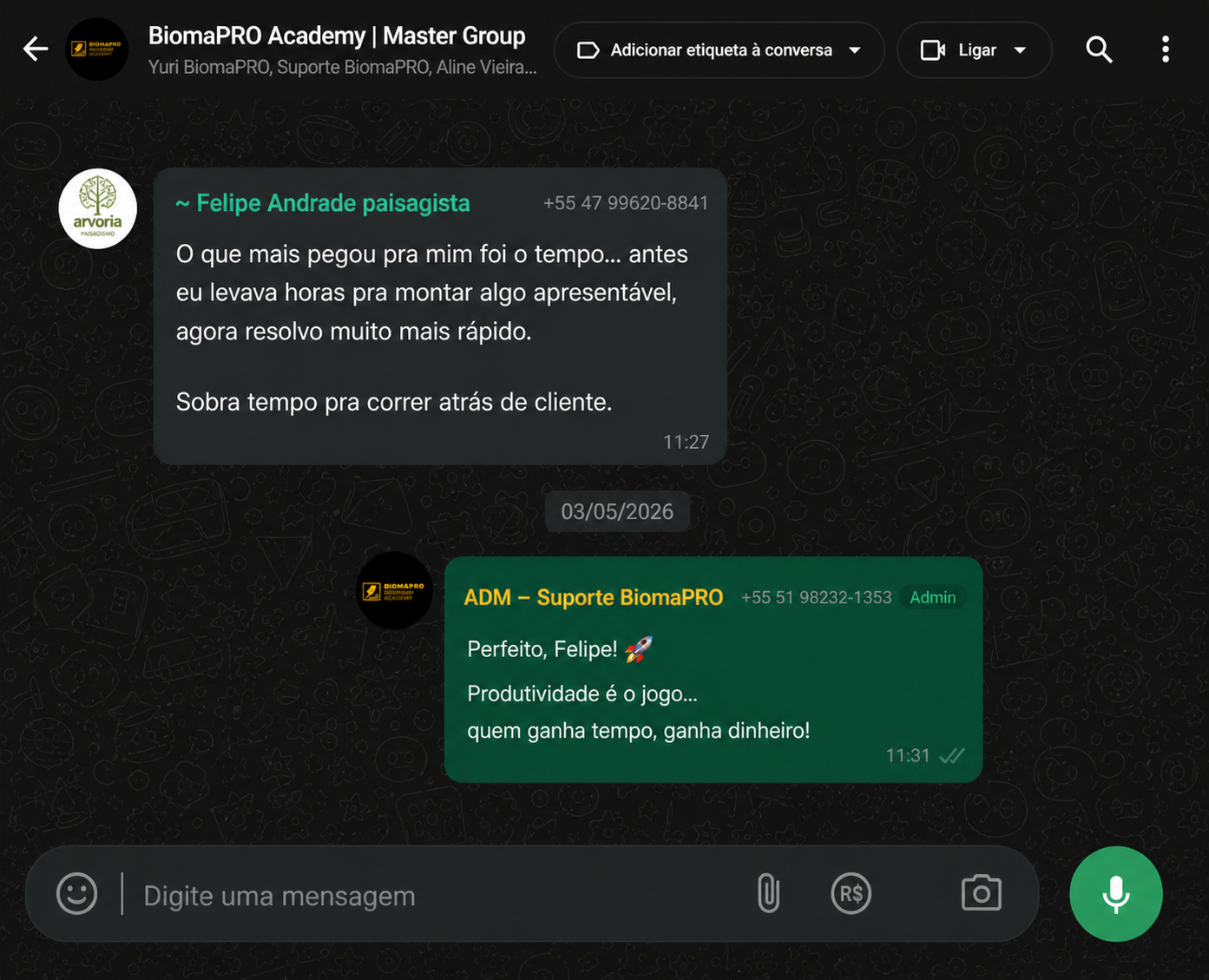 Print de WhatsApp - Projeto finalizado